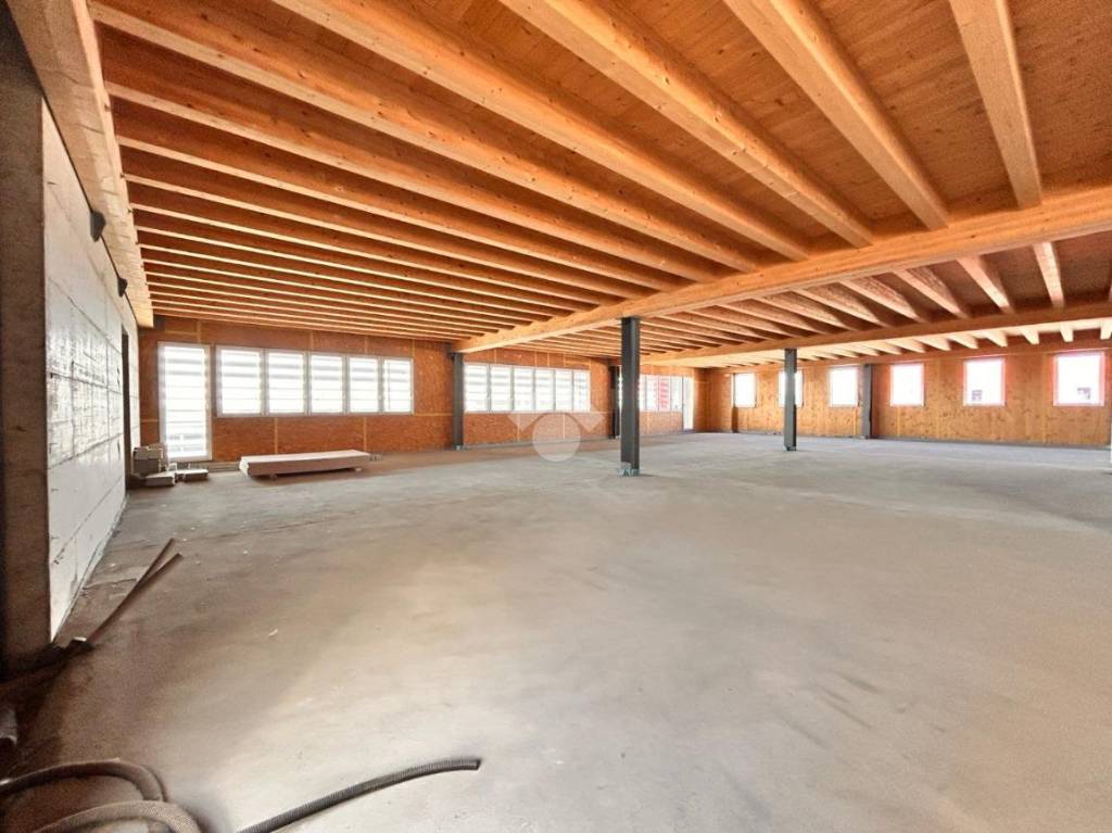 immagine annuncio 4 di 7