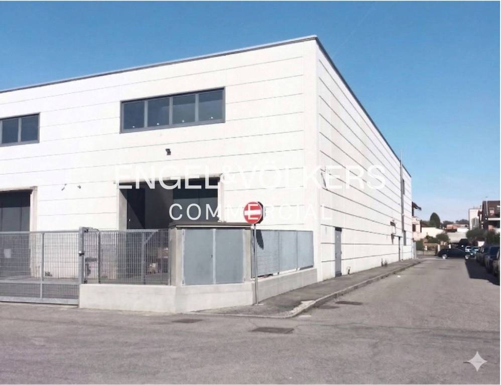 immagine annuncio 6 di 14