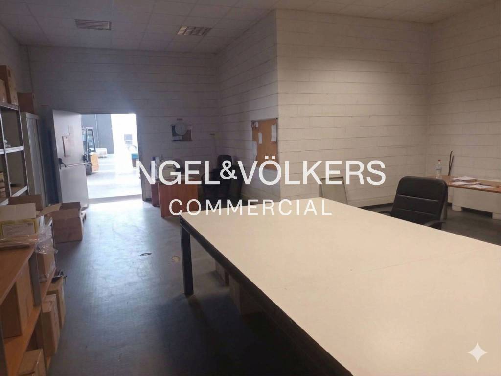 immagine annuncio 4 di 14