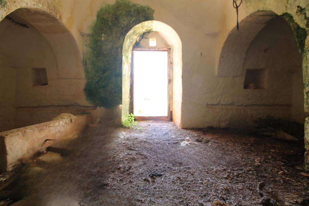 immagine annuncio 6 di 12