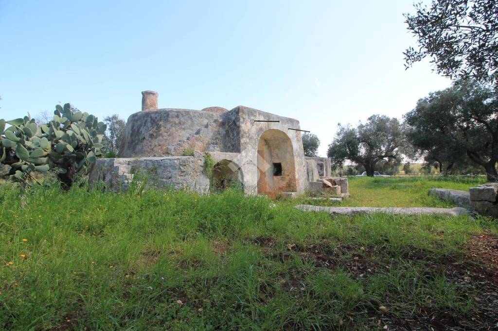 immagine annuncio 7 di 12