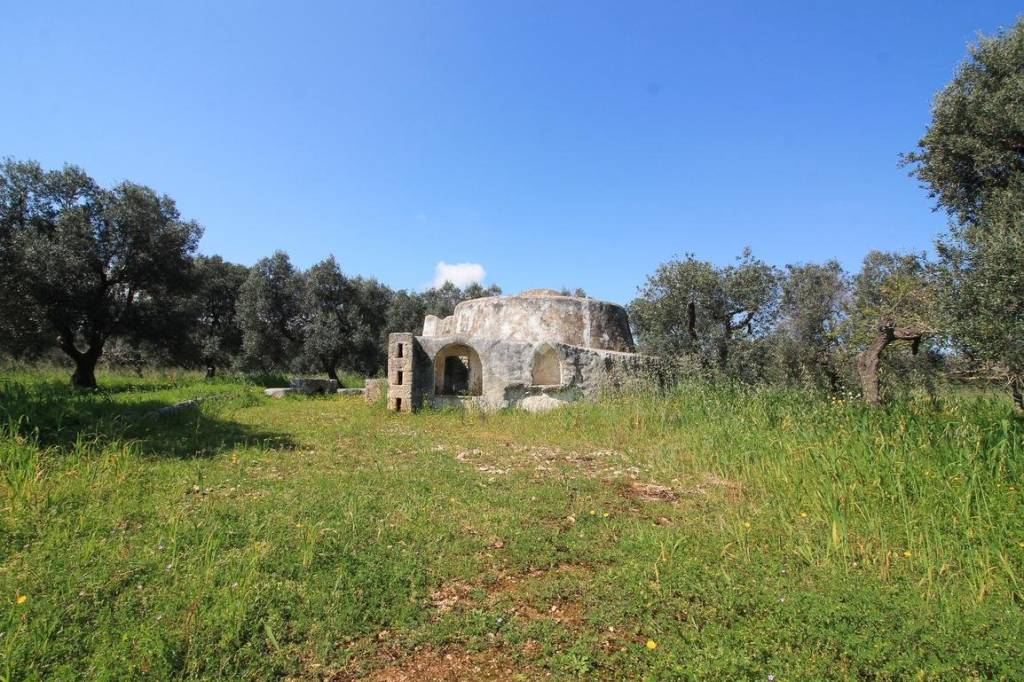 immagine annuncio 8 di 12