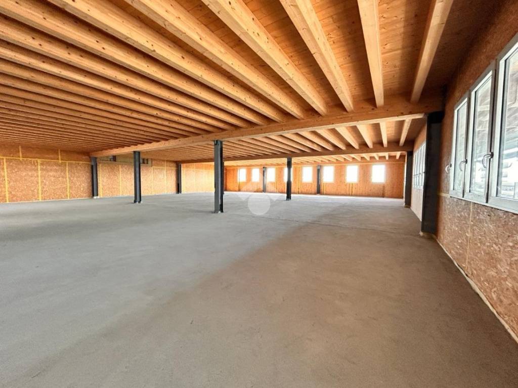 immagine annuncio 3 di 7