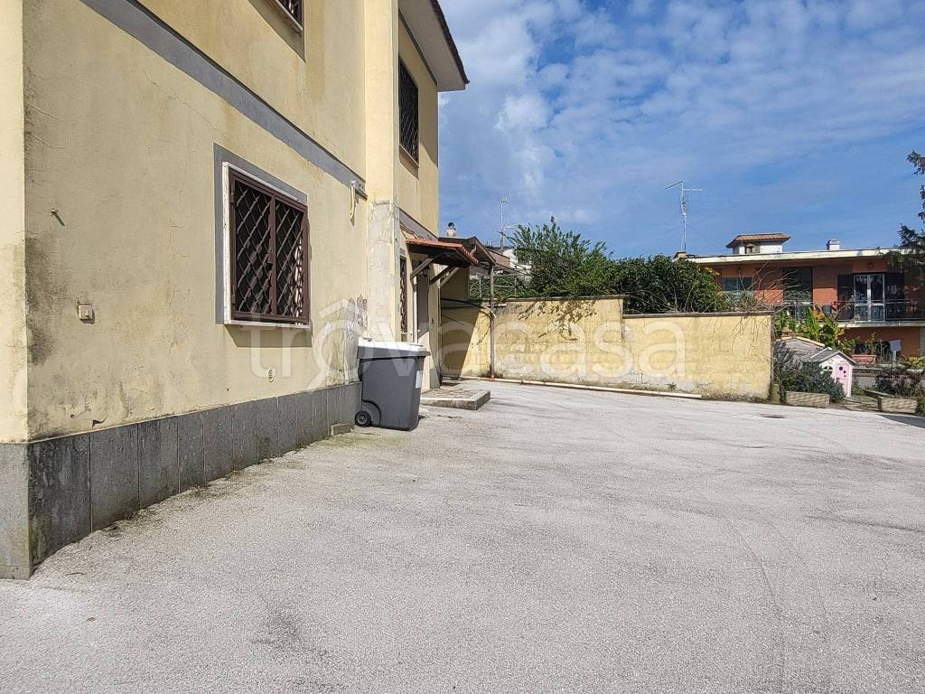 immagine annuncio 11 di 14