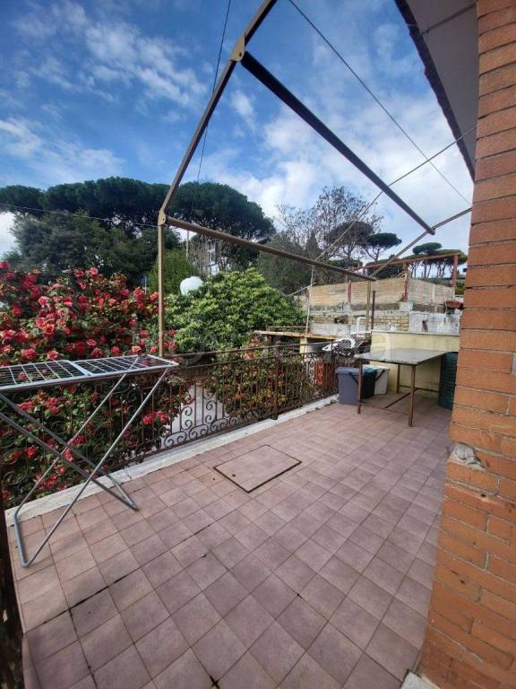 immagine annuncio 2 di 14