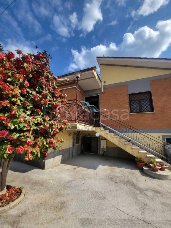 immagine annuncio 3 di 14