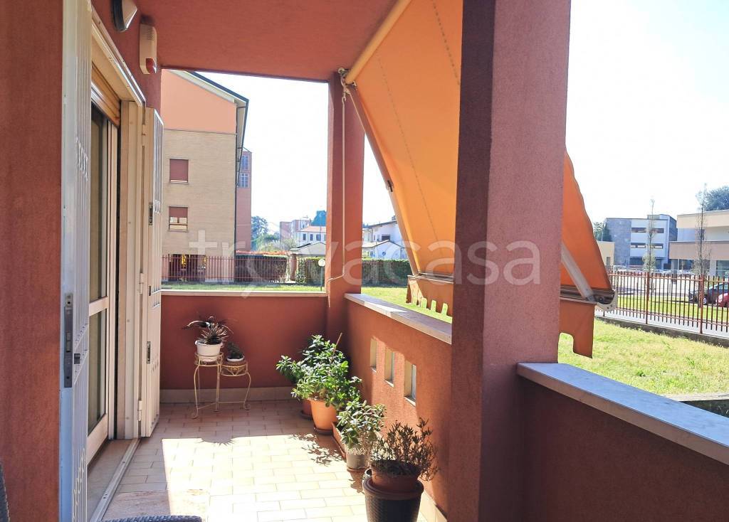 immagine annuncio 11 di 15