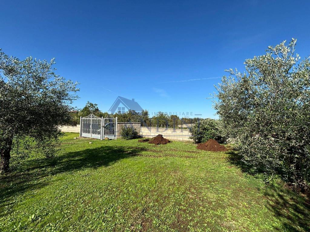 immagine annuncio 2 di 12