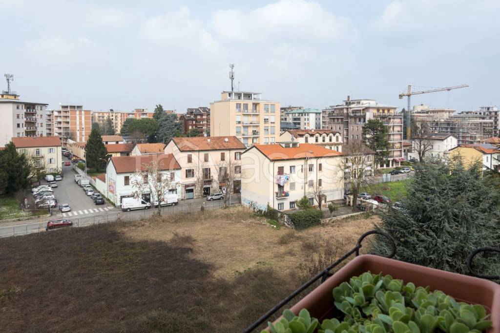 immagine annuncio 9 di 15