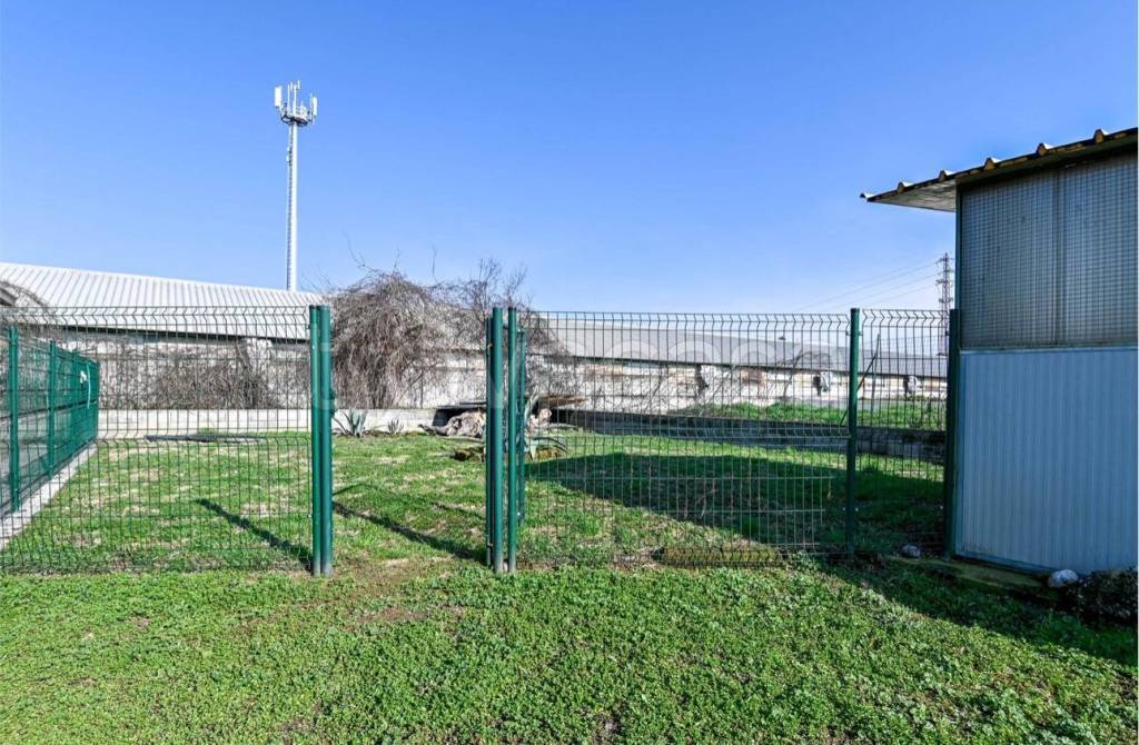 immagine annuncio 12 di 14