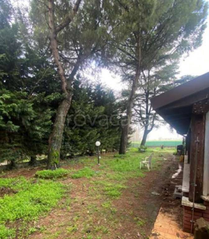 immagine annuncio 3 di 13