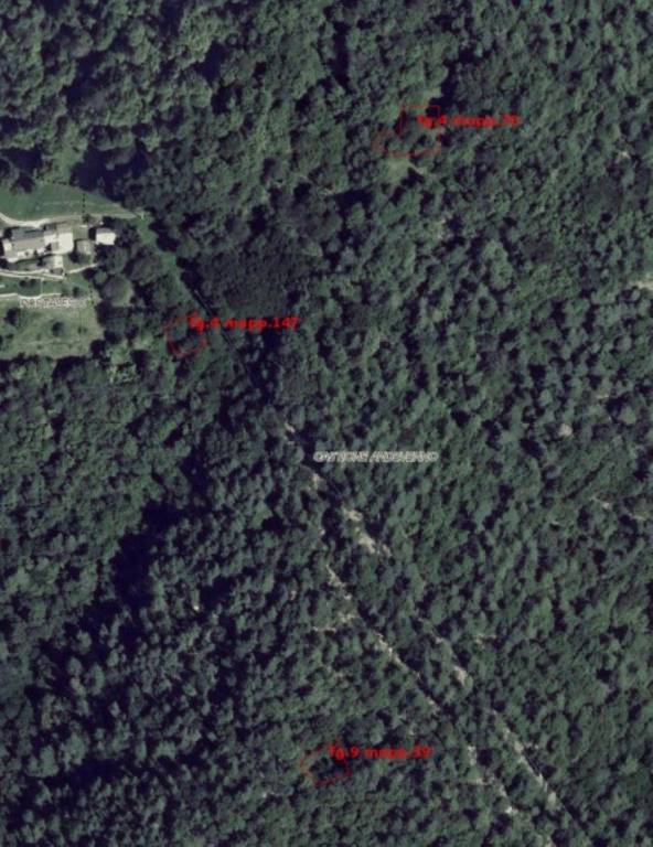 immagine annuncio 3 di 12