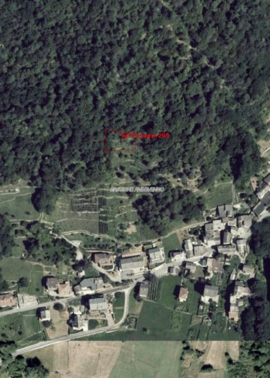 immagine annuncio 4 di 12