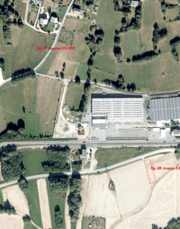 immagine annuncio 6 di 12