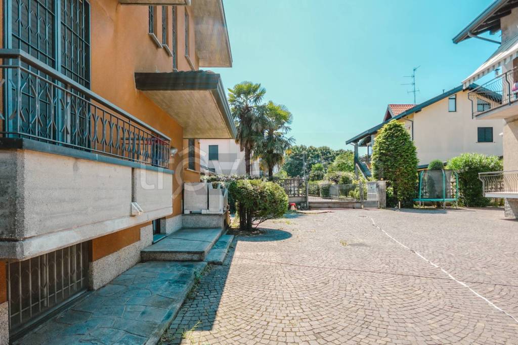immagine annuncio 6 di 15