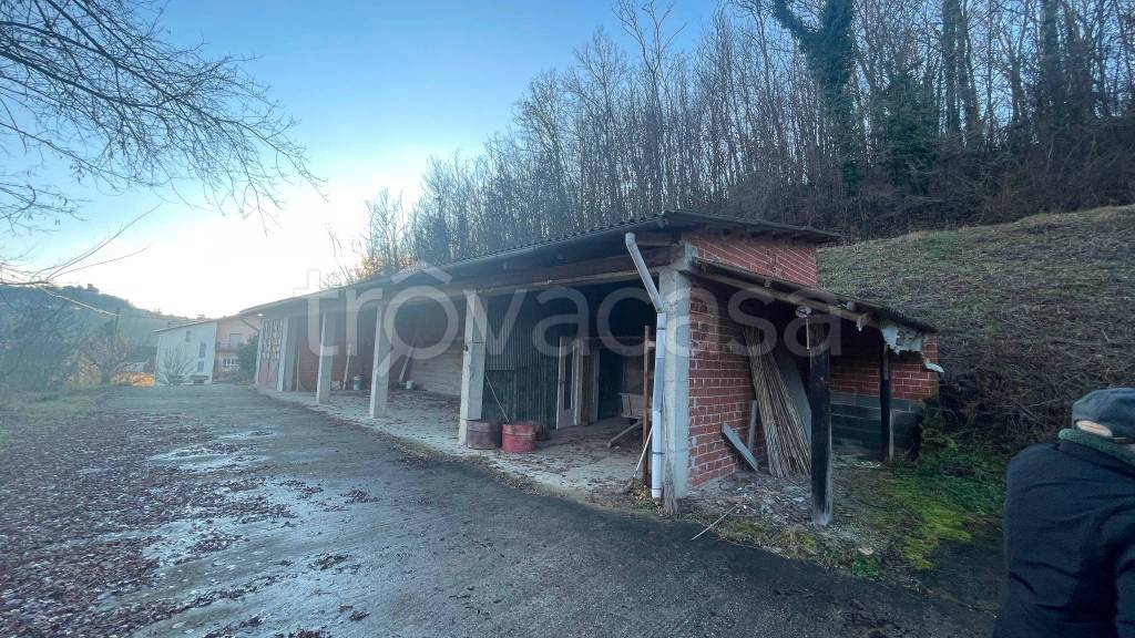 immagine annuncio 2 di 8