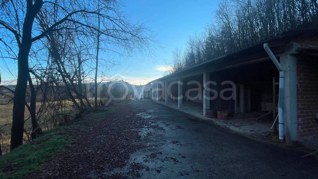 immagine annuncio 3 di 8