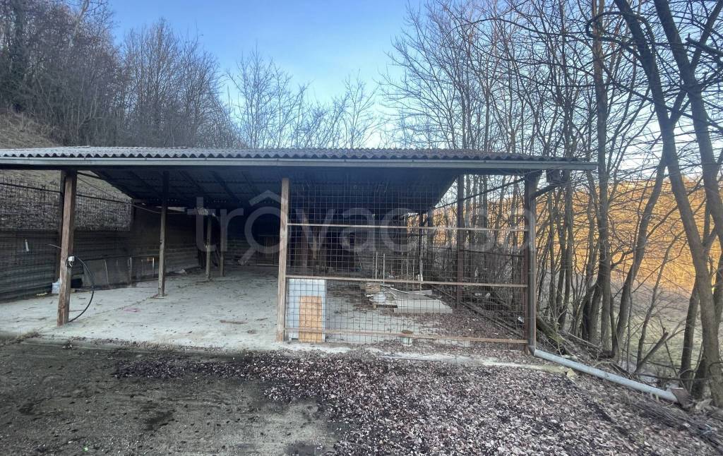 immagine annuncio 4 di 8