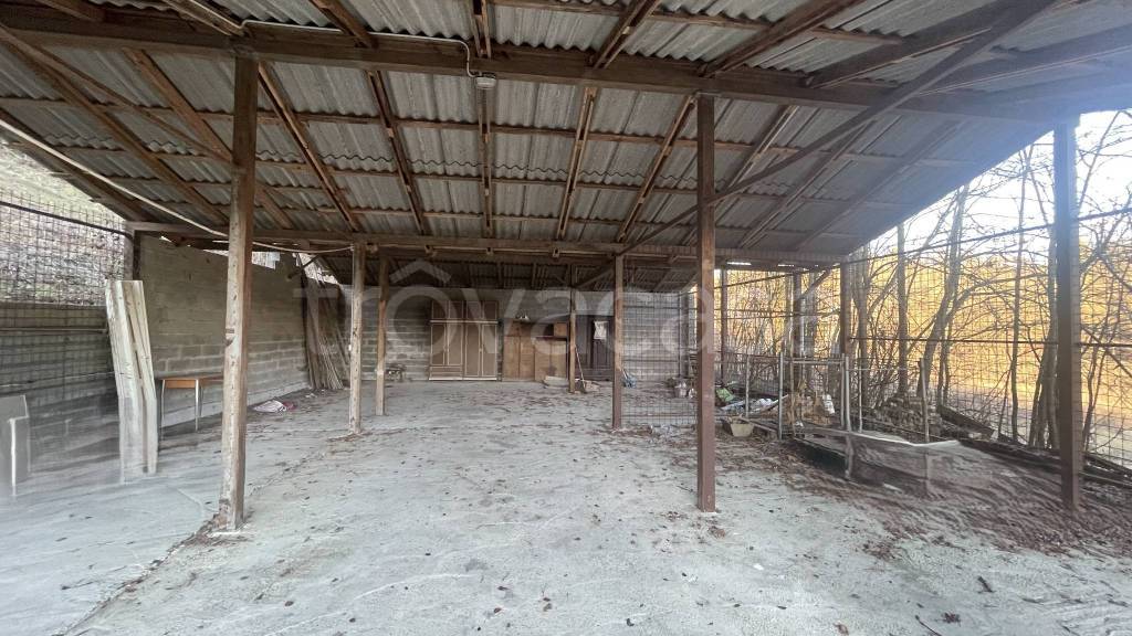 immagine annuncio 5 di 8