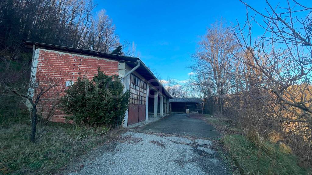 immagine annuncio 6 di 8