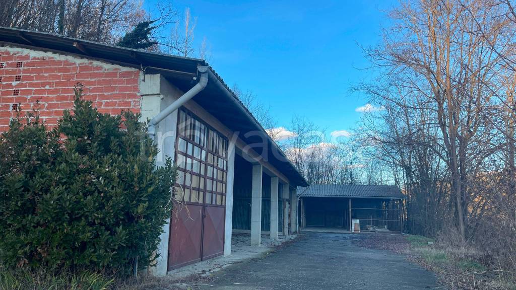 immagine annuncio 7 di 8