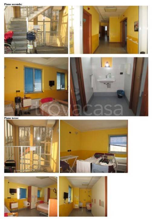 immagine annuncio 10 di 15