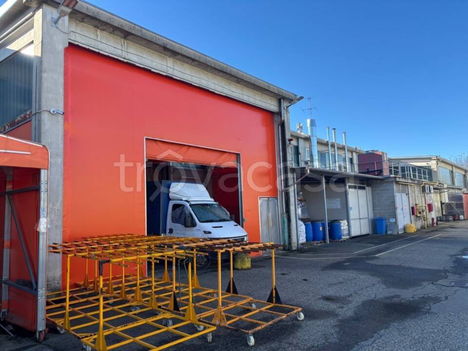 immagine annuncio 1 di 6