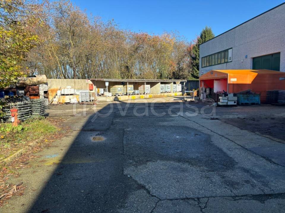 immagine annuncio 3 di 6