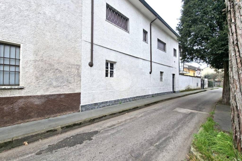 immagine annuncio 12 di 13