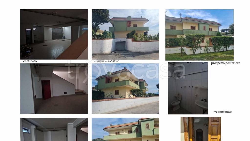 immagine annuncio 11 di 15