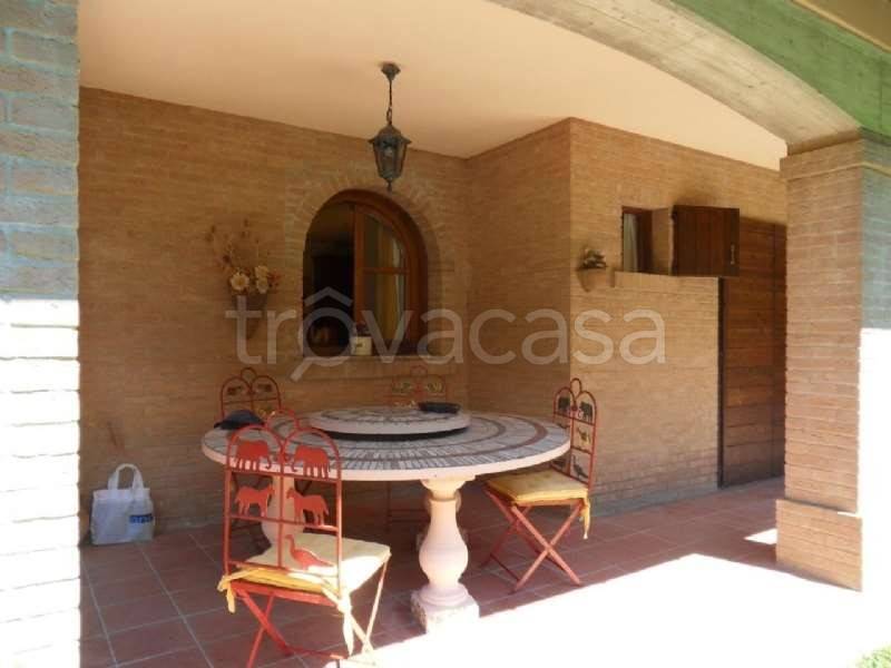 immagine annuncio 5 di 14