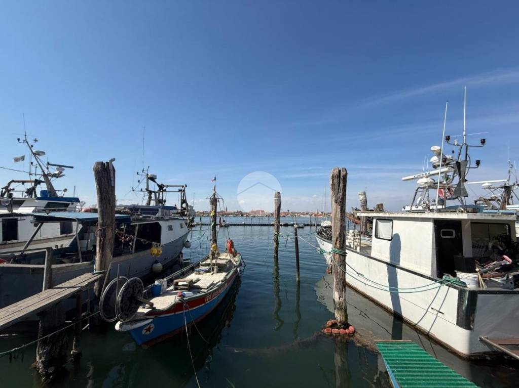 immagine annuncio 10 di 14