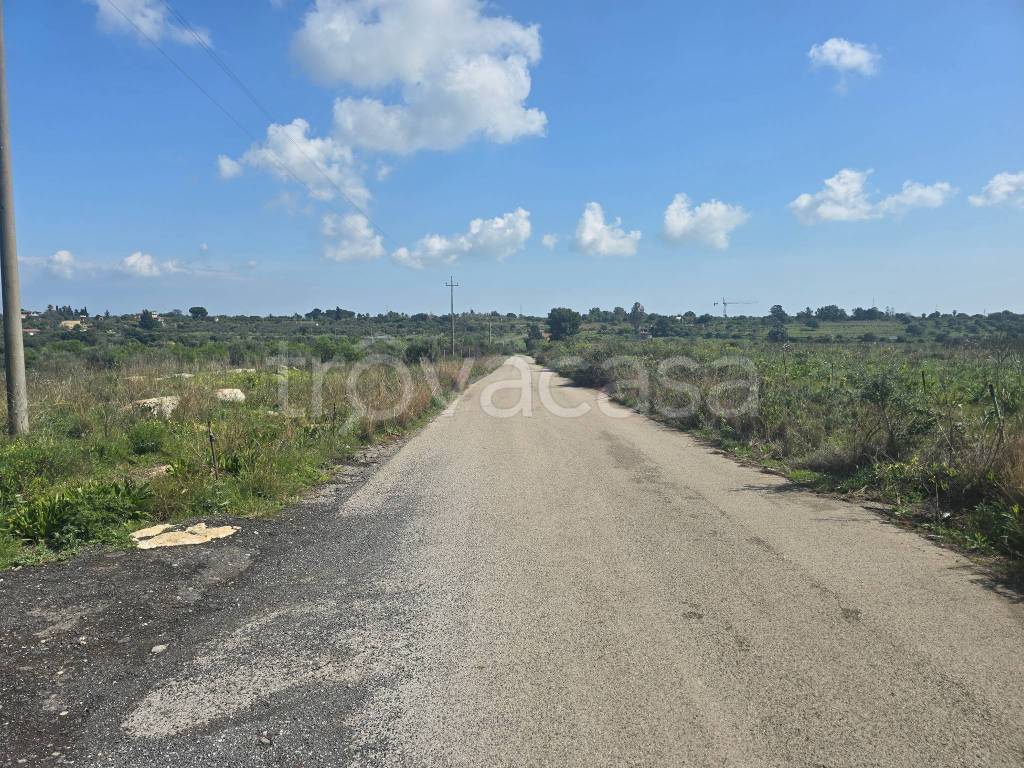 immagine annuncio 4 di 14