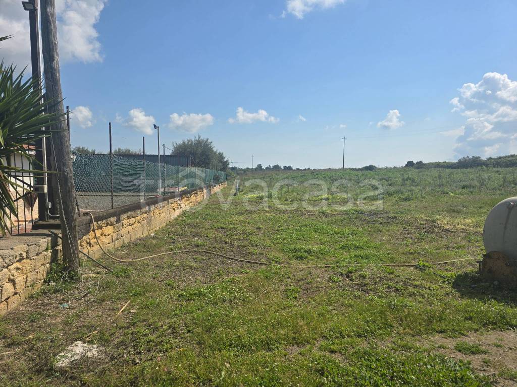 immagine annuncio 6 di 14