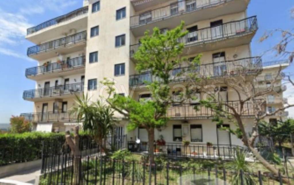 immagine annuncio 5 di 9