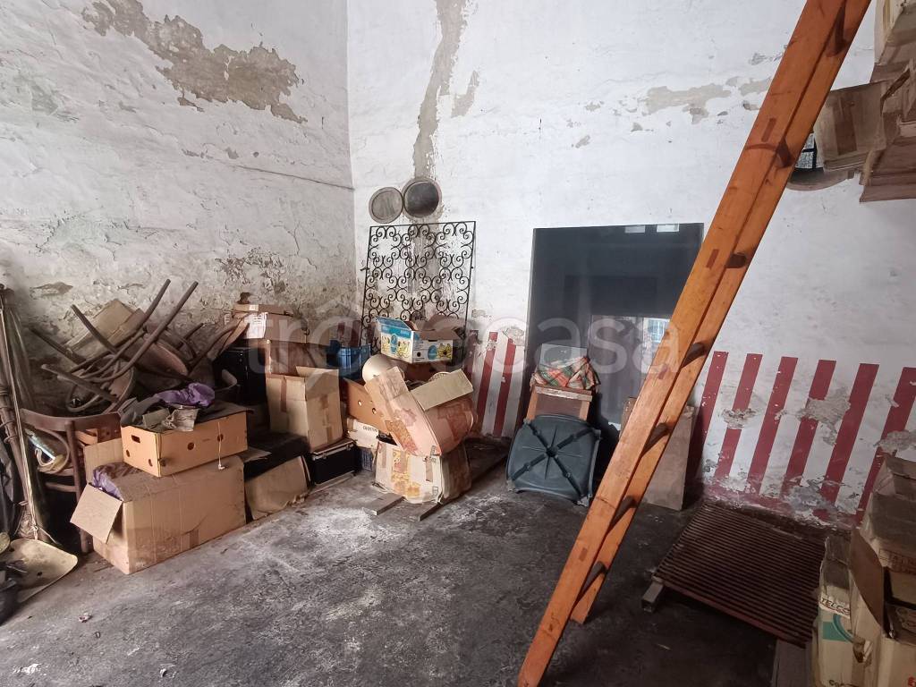 immagine annuncio 9 di 14