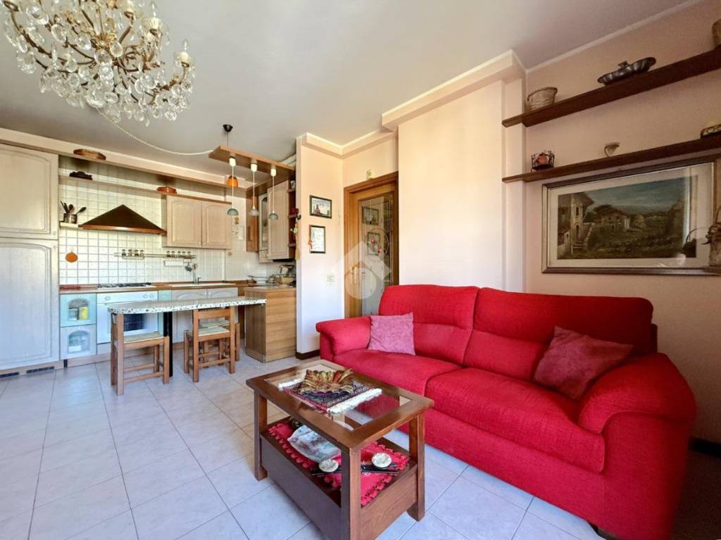 immagine annuncio 9 di 15