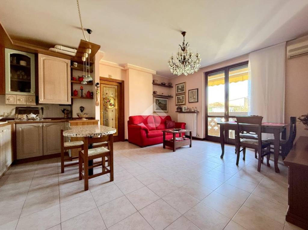 immagine annuncio 6 di 15