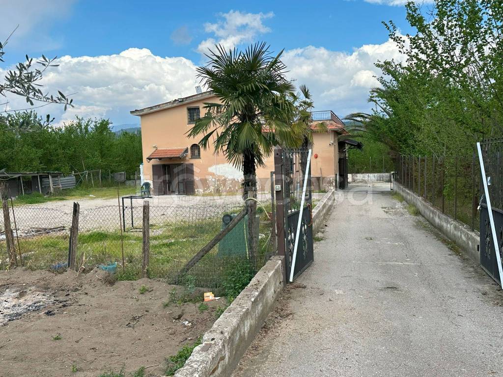 immagine annuncio 2 di 13