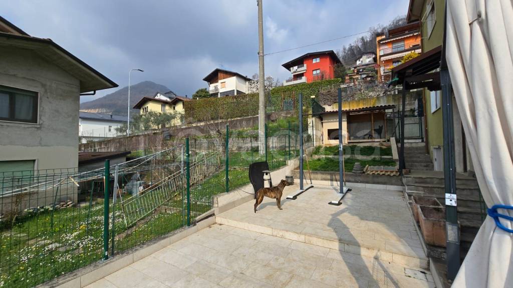 immagine annuncio 5 di 15