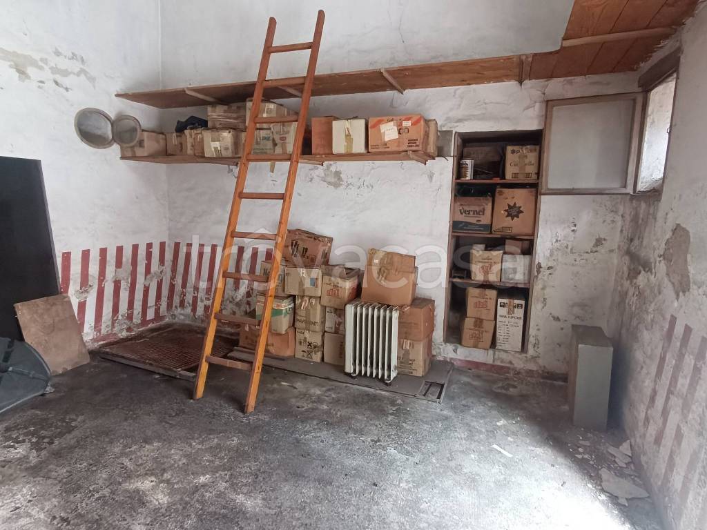 immagine annuncio 10 di 14