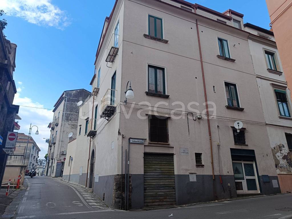 immagine annuncio 12 di 14