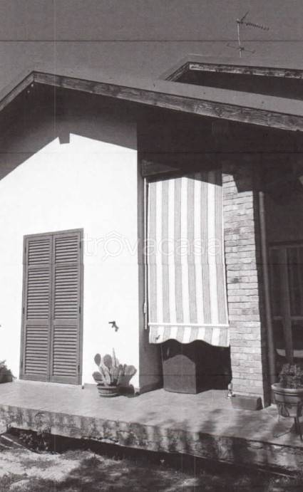 immagine annuncio 3 di 12