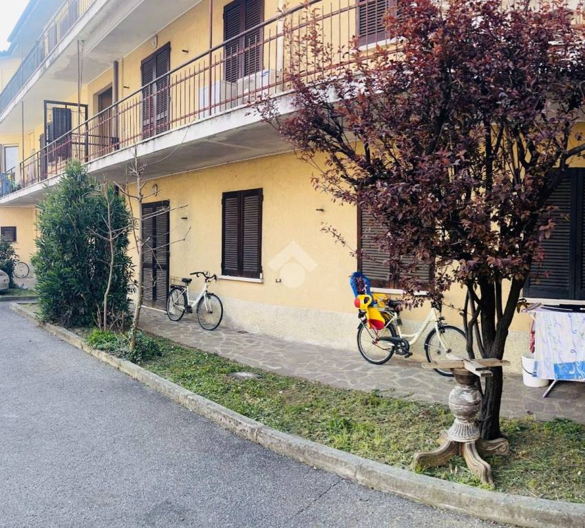 immagine annuncio 1 di 13