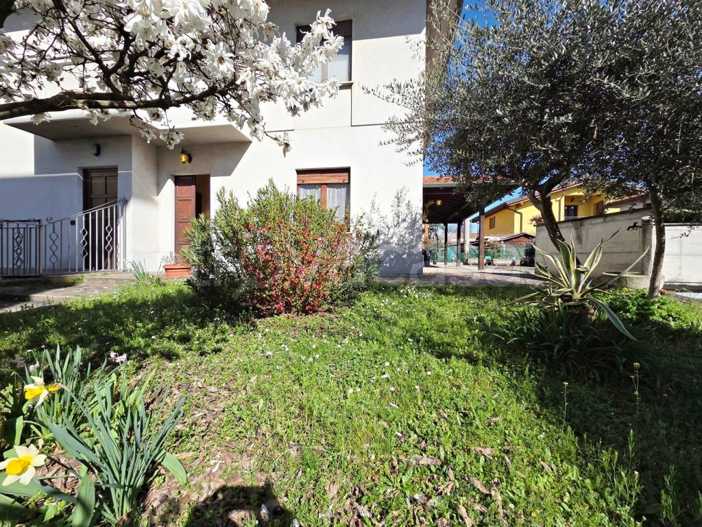 immagine annuncio 6 di 15