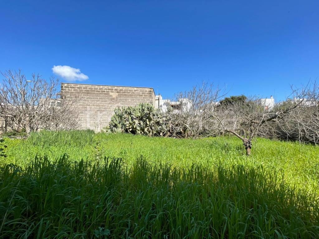 immagine annuncio 1 di 9