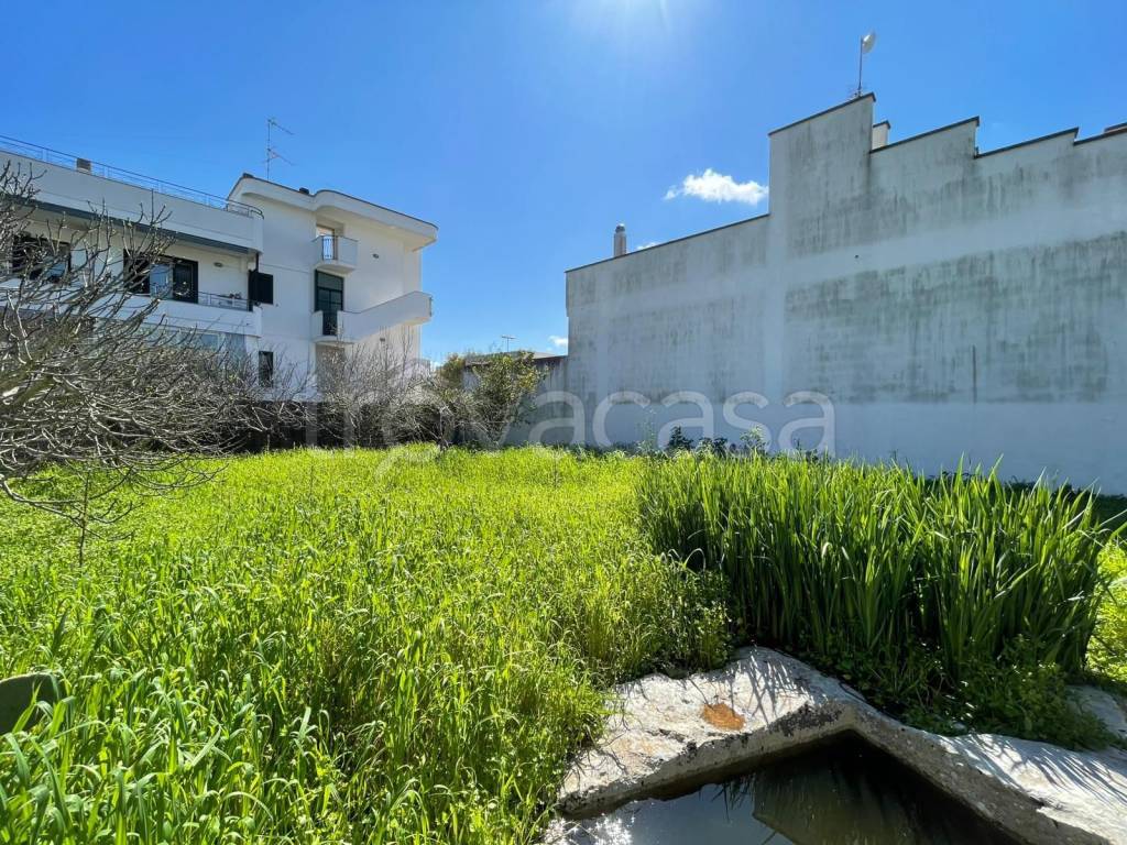 immagine annuncio 5 di 9