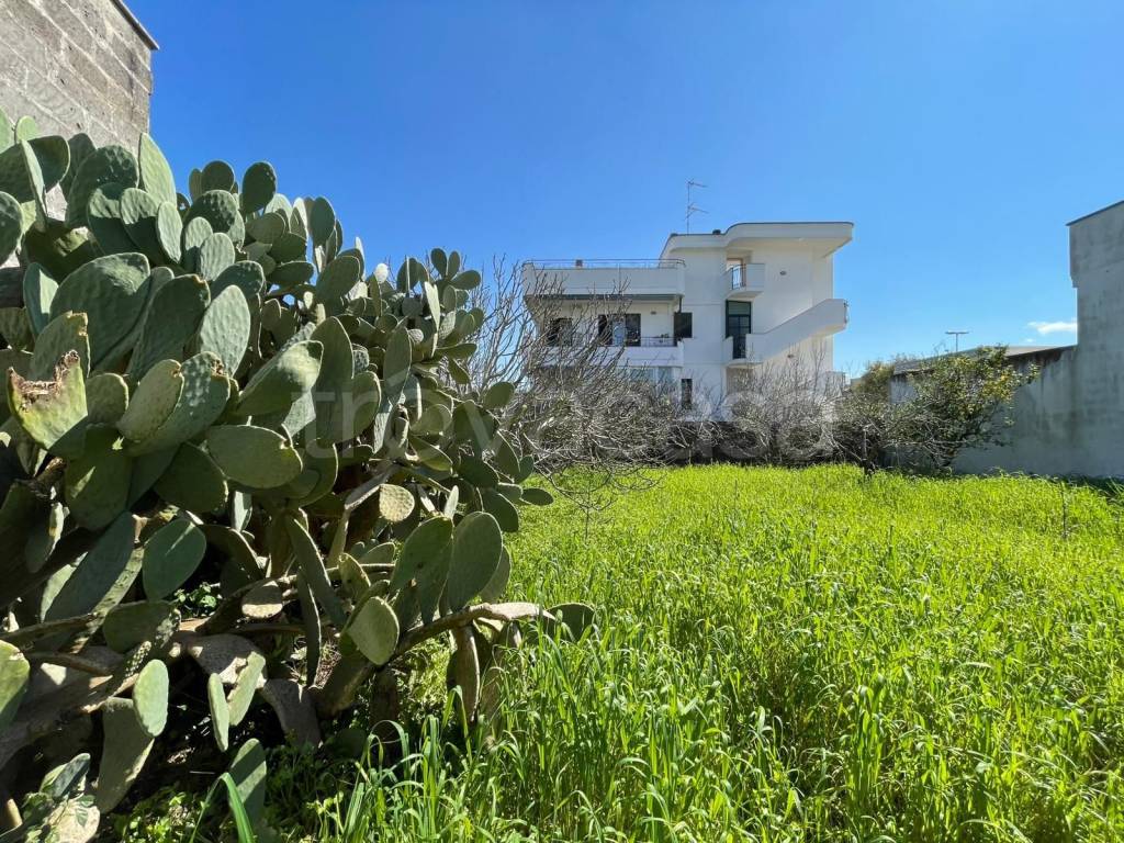 immagine annuncio 3 di 9