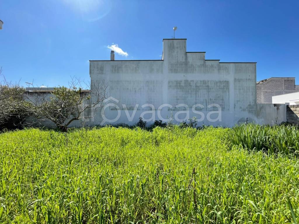 immagine annuncio 4 di 9