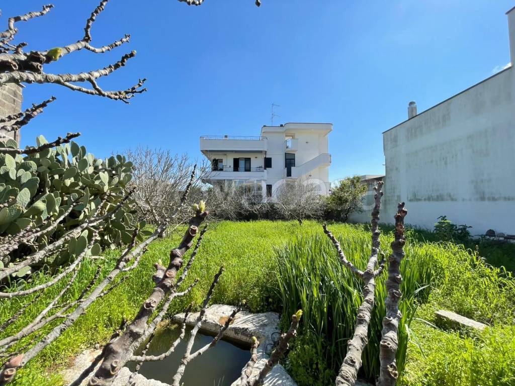 immagine annuncio 6 di 9